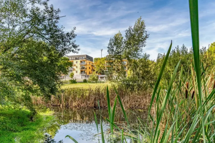 Pronájem bytu 1+kk, Hořovice, Pod Drahou, 39 m2