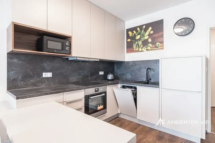 Pronájem bytu 1+kk, Brno, Reissigova, 36 m2