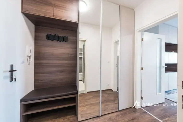 Pronájem bytu 1+kk, Brno, Reissigova, 36 m2