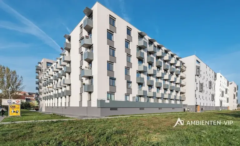 Pronájem bytu 1+kk, Brno, Reissigova, 36 m2