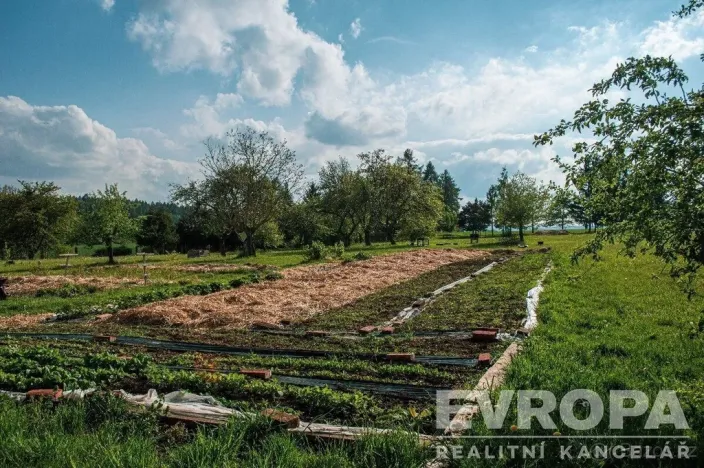 Prodej pozemku pro bydlení, Rataje nad Sázavou, 8300 m2