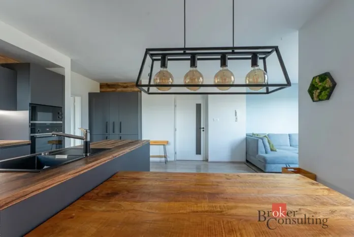 Pronájem bytu 3+kk, Heřmanova Huť - Vlkýš, U Pondu, 80 m2