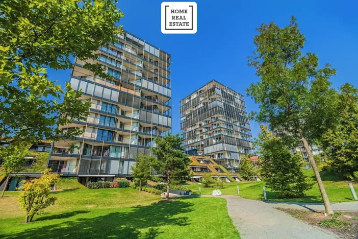 Pronájem bytu 2+kk, Praha - Žižkov, Pitterova, 45 m2