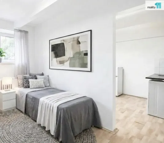 Pronájem bytu 1+1, Praha - Vršovice, Gruzínská, 24 m2