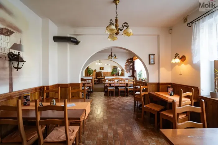 Prodej restaurace, Litvínov - Horní Litvínov, Studentská, 388 m2
