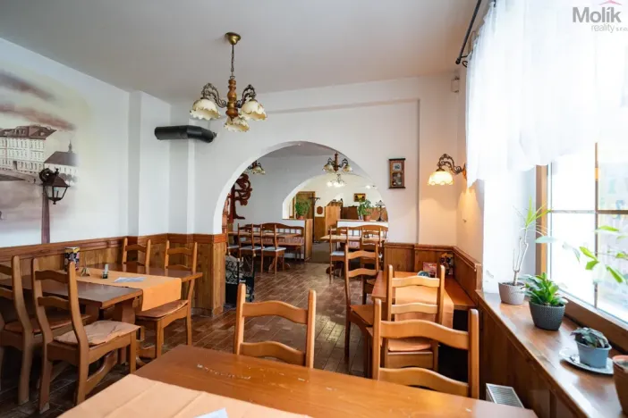 Prodej restaurace, Litvínov - Horní Litvínov, Studentská, 388 m2