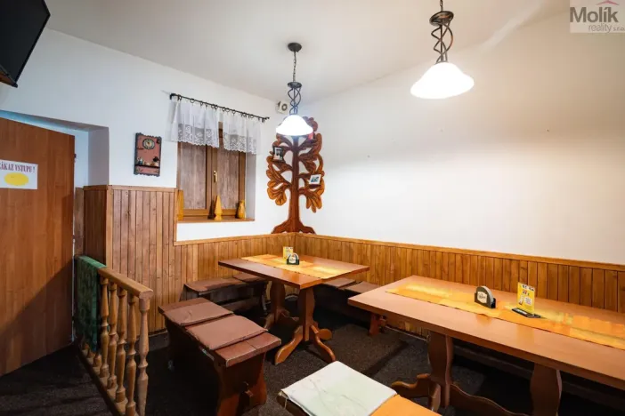 Prodej restaurace, Litvínov - Horní Litvínov, Studentská, 388 m2