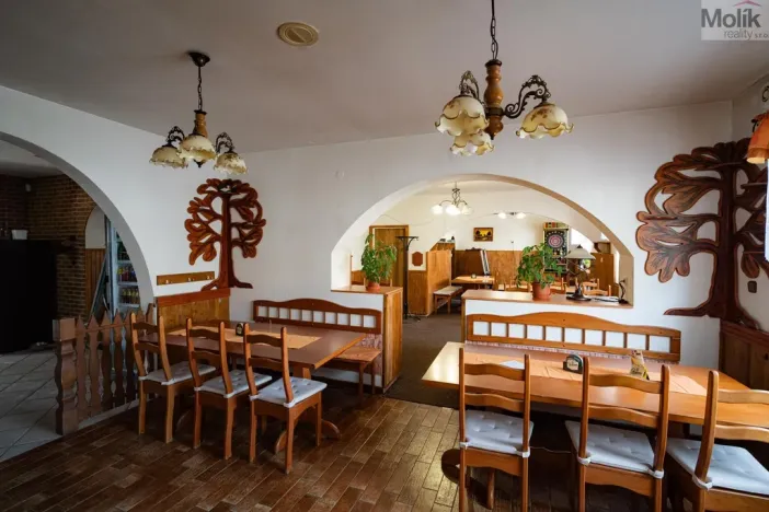 Prodej restaurace, Litvínov - Horní Litvínov, Studentská, 388 m2