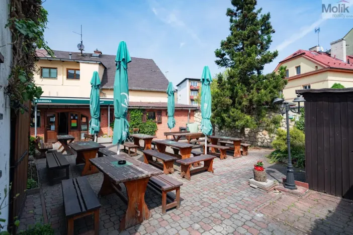 Prodej restaurace, Litvínov - Horní Litvínov, Studentská, 388 m2