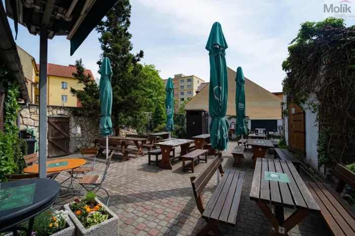 Prodej restaurace, Litvínov - Horní Litvínov, Studentská, 388 m2
