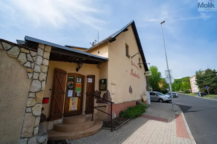 Prodej rodinného domu, Litvínov - Horní Litvínov, Studentská, 388 m2