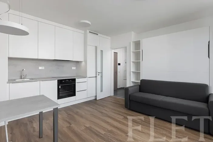 Pronájem bytu 1+kk, Praha - Kamýk, Hodkovická, 31 m2