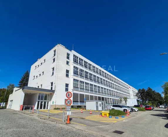 Pronájem kanceláře, Brno - Královo Pole, Purkyňova, 100 m2