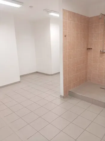 Pronájem obchodního prostoru, Brno, Palackého třída, 311 m2