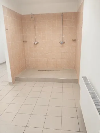 Pronájem obchodního prostoru, Brno, Palackého třída, 311 m2