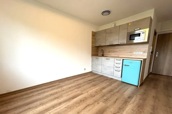 Pronájem bytu 1+kk, Dolní Bělá, 20 m2