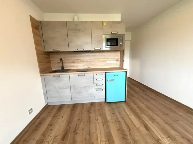 Pronájem bytu 1+kk, Dolní Bělá, 20 m2