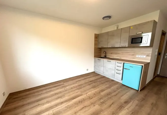 Pronájem bytu 1+kk, Dolní Bělá, 20 m2