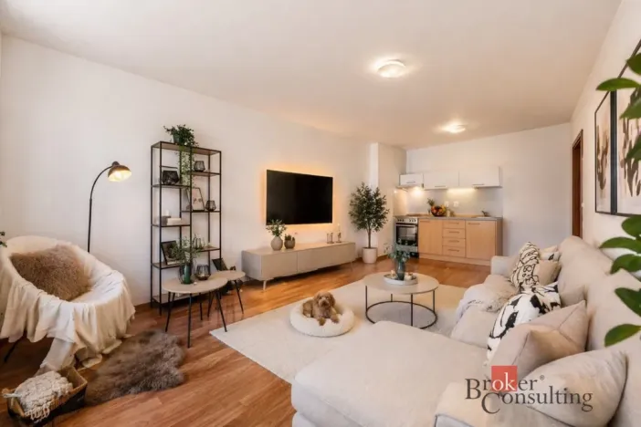 Prodej bytu 2+kk, Opava - Kateřinky, Hálkova, 55 m2