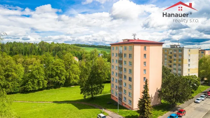 Prodej bytu 2+1, Cheb, Družstevní, 51 m2