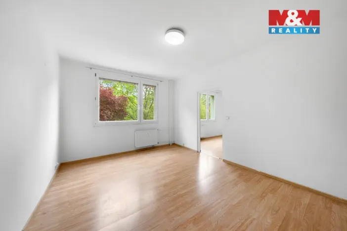 Prodej bytu 1+1, Děčín - Děčín VI-Letná, Školní, 40 m2