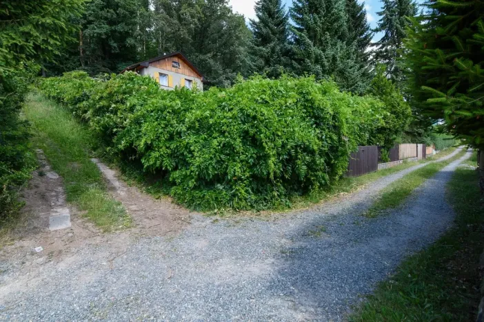 Pronájem zahrady, Stříbrná Skalice, 1015 m2