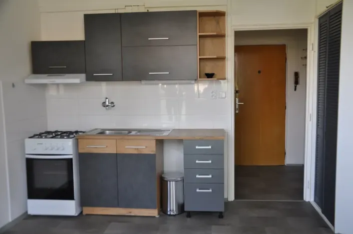 Pronájem bytu 1+1, České Budějovice, Lipenská, 42 m2