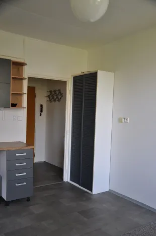Pronájem bytu 1+1, České Budějovice, Lipenská, 42 m2