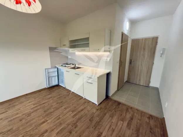 Pronájem bytu 1+kk, Plzeň, Boettingerova, 19 m2