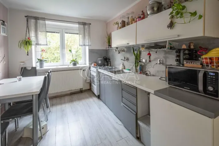 Pronájem bytu 2+1, Neratovice, P. Bezruče, 48 m2
