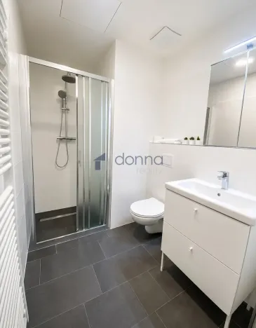 Pronájem bytu 1+kk, Praha, Perucká, 30 m2
