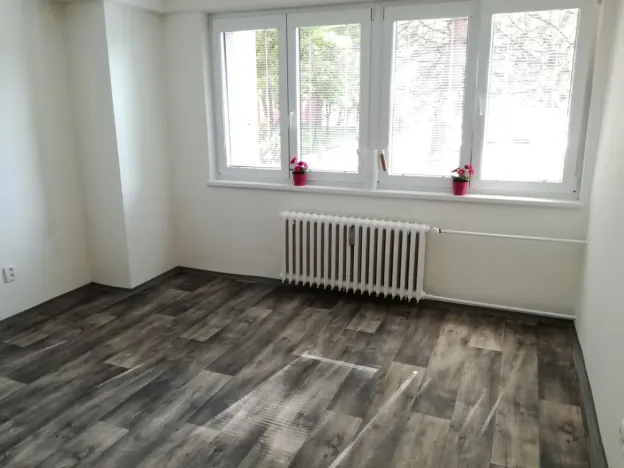 Prodej bytu 2+kk, Ostrava - Moravská Ostrava, Zelená, 45 m2