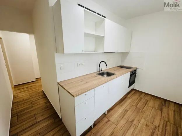 Pronájem bytu 2+1, Most, Maxe Švabinského, 53 m2