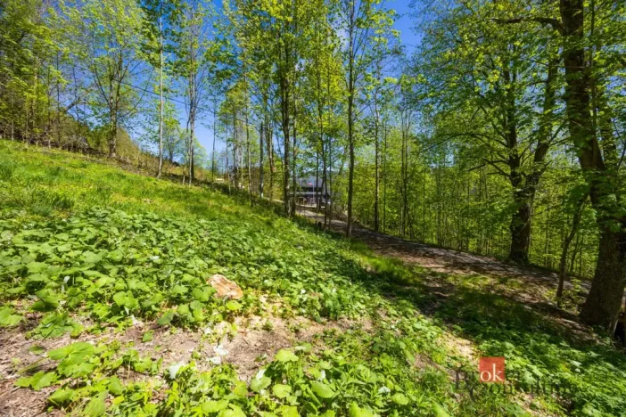Prodej pozemku pro bydlení, Dolní Morava - Horní Morava, 1045 m2