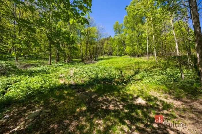 Prodej pozemku pro bydlení, Dolní Morava - Horní Morava, 1045 m2