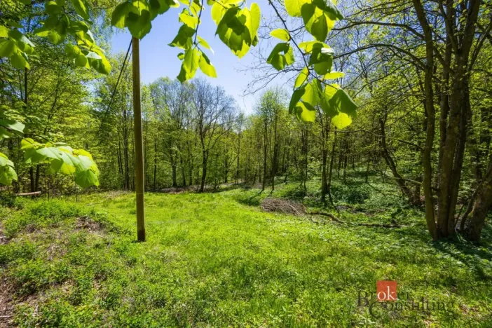 Prodej pozemku pro bydlení, Dolní Morava - Horní Morava, 1045 m2