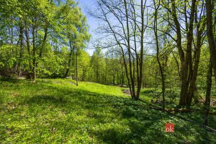 Prodej pozemku pro bydlení, Dolní Morava - Horní Morava, 1045 m2