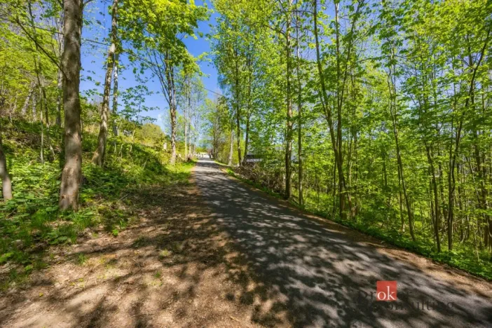 Prodej pozemku pro bydlení, Dolní Morava - Horní Morava, 1045 m2