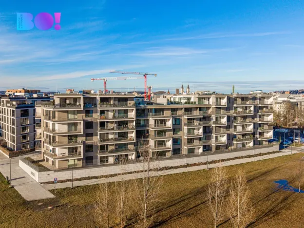 Pronájem bytu 2+kk, Ostrava, F. X. Riepla, 161 m2