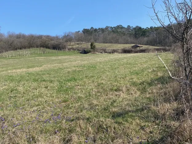 Prodej zahrady, Mikulov, Nová, 1043 m2
