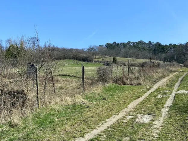 Prodej zahrady, Mikulov, Nová, 1043 m2