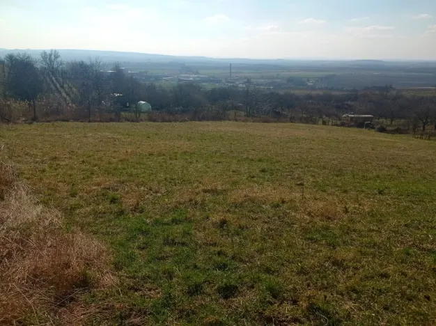 Prodej zahrady, Mikulov, Nová, 1043 m2
