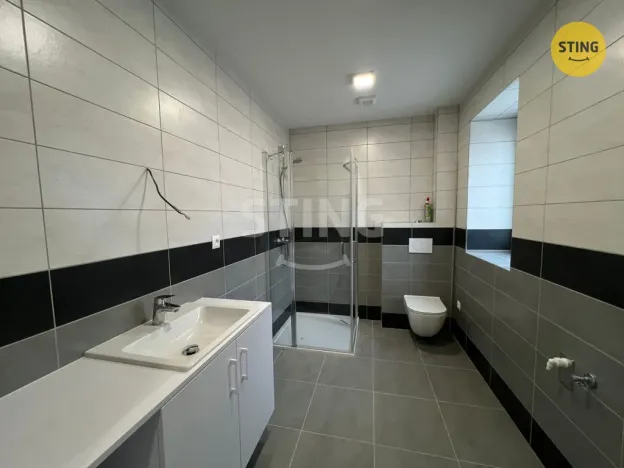 Pronájem bytu 1+kk, Hostovice, 60 m2