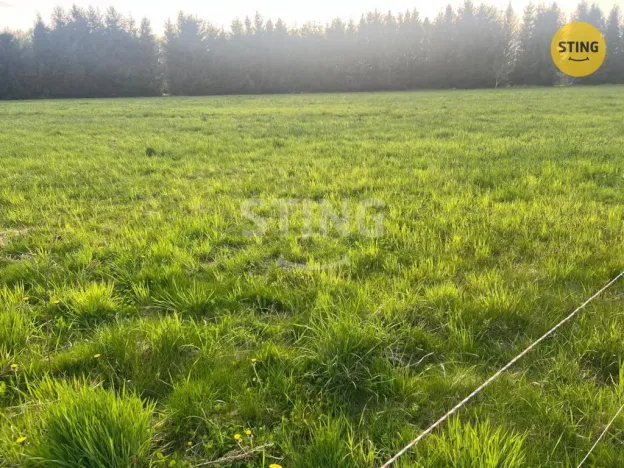 Prodej louky, Raškovice, 8800 m2