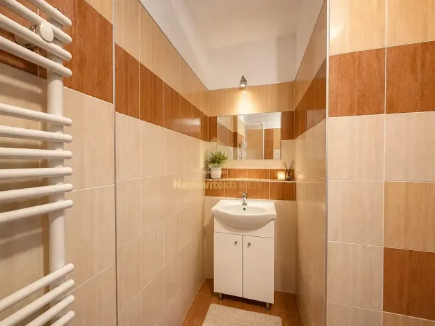 Pronájem bytu 1+1, Ostrava, Veleslavínova, 50 m2