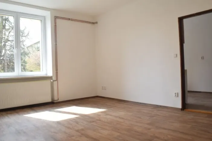 Pronájem bytu 1+1, Ostrava - Zábřeh, Březinova, 45 m2