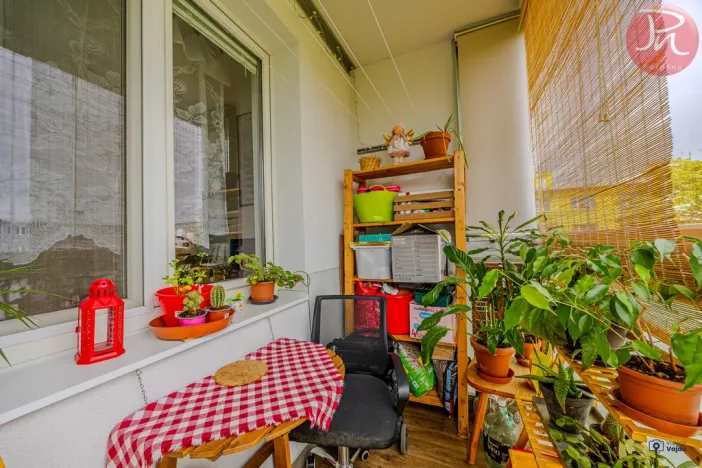 Prodej bytu 2+1, Ostrava, Čkalovova, 52 m2