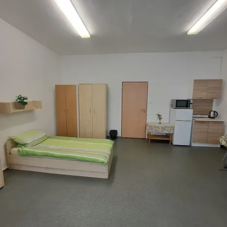 Pronájem bytu 1+kk, Hranice - Hranice I-Město, Potštátská, 30 m2