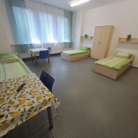 Pronájem bytu 1+kk, Hranice - Hranice I-Město, Potštátská, 30 m2