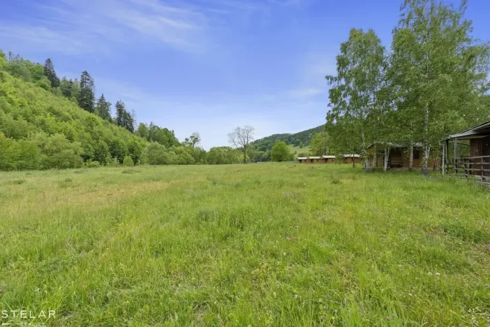 Prodej zahrady, Holčovice - Komora, 6661 m2